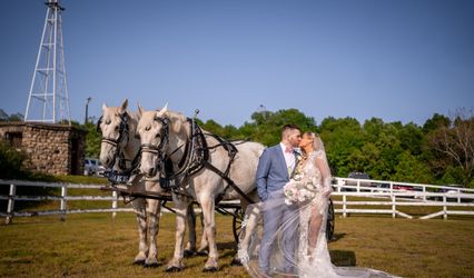 Rock Hill Farm
