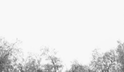 Alysha Miller Photography