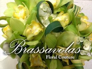 Brassavolas Floral Couture