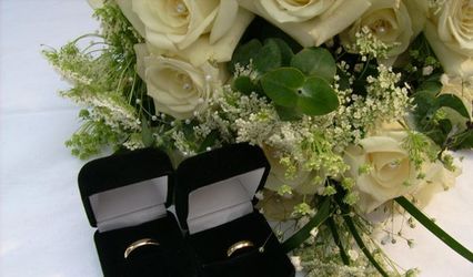 Amazing Indiana Weddings