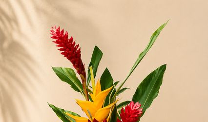 PABBBI Tropicals