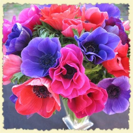 California Organic Flowers