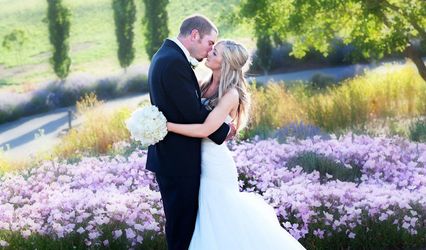 Claire Dobson Photography