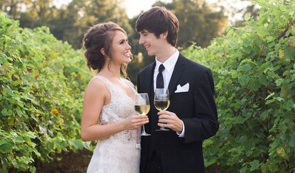 Wild Stallion Vineyards