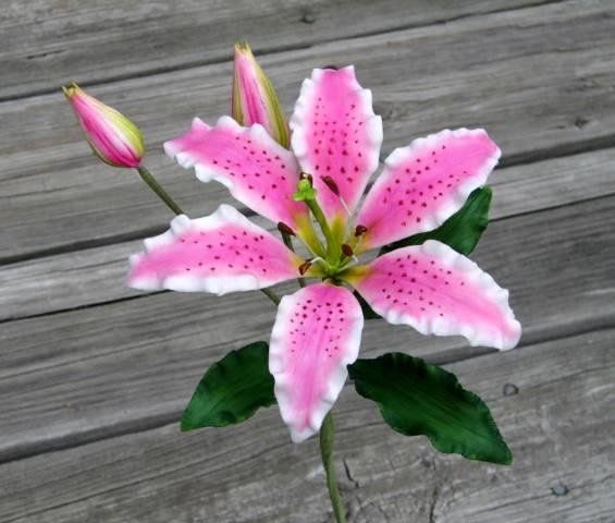 Sugar Flowers by Elena