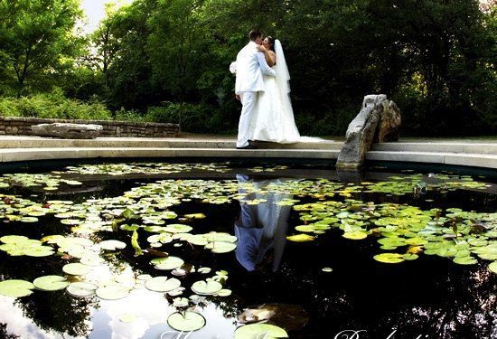 Moving Images Productions Wedding Photography