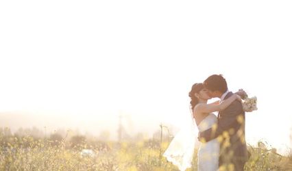 Michelle Chiu Photography