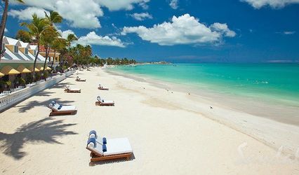 Sharon Albert Travel