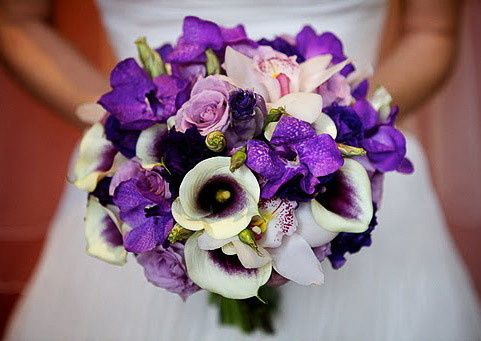 Nilee Event Decor