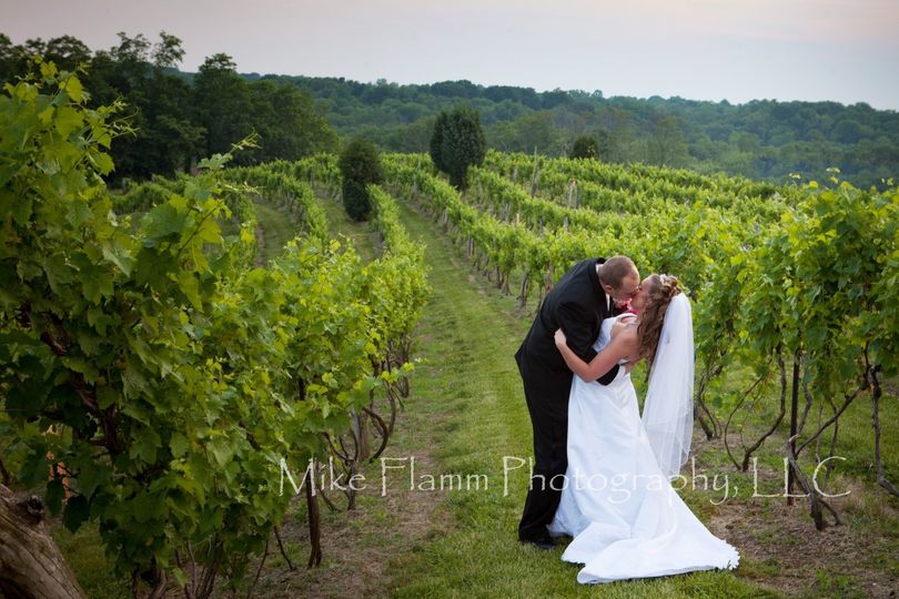 Mike Flamm Photography, LLC