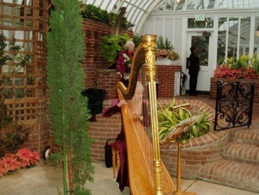 PittsburghHarpist.com