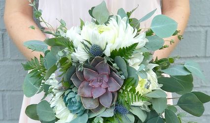 Bloomed Roots