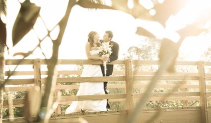 Glimmering Moments Photography by Jennyfer Huff