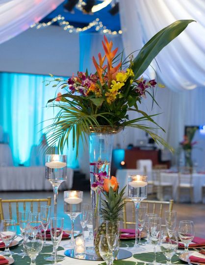 Club Tropical Ballroom Venue Hallandale Fl Weddingwire
