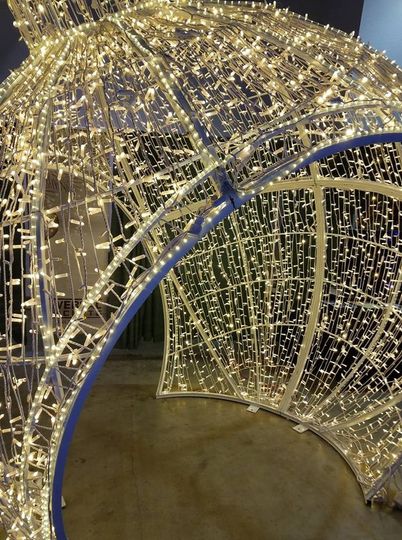The Virginia Lighting & Decor Co.