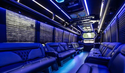 STEALTH TRANSPORTATION SERVICES LLC