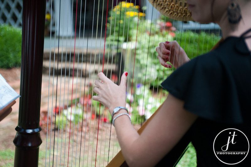 Jennie Eggleston, My Gentle Harp