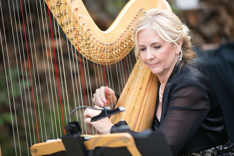 Orange County Harpist