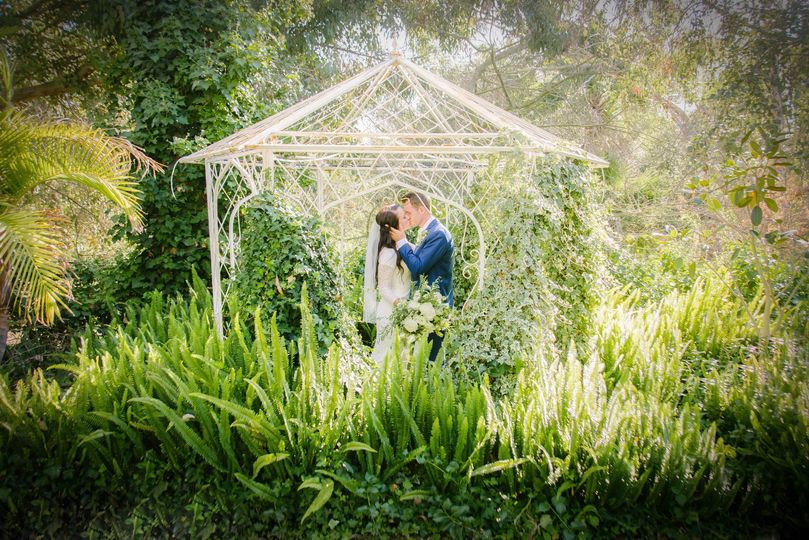 Alicia Ann Photography