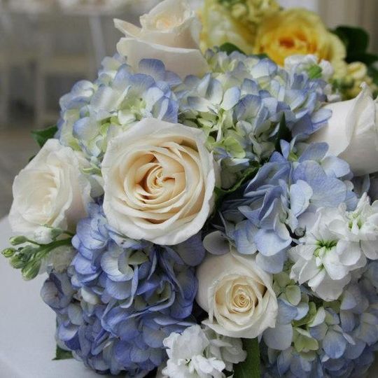 Steuber Florist & Greenhouses