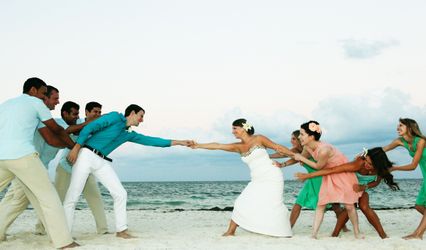 Butterfly Weddings