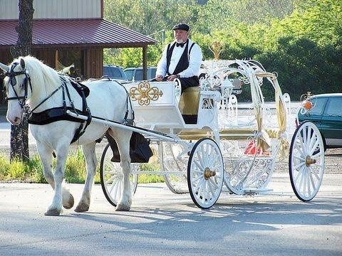 The Princess's Carriage