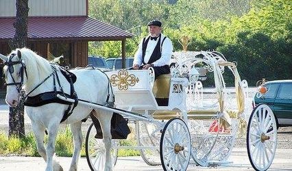 The Princess's Carriage