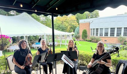 Pizzicatomus String Quartet