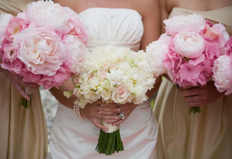 Klassy Stems and More