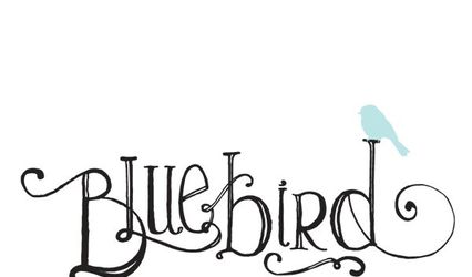 Bluebird Photography