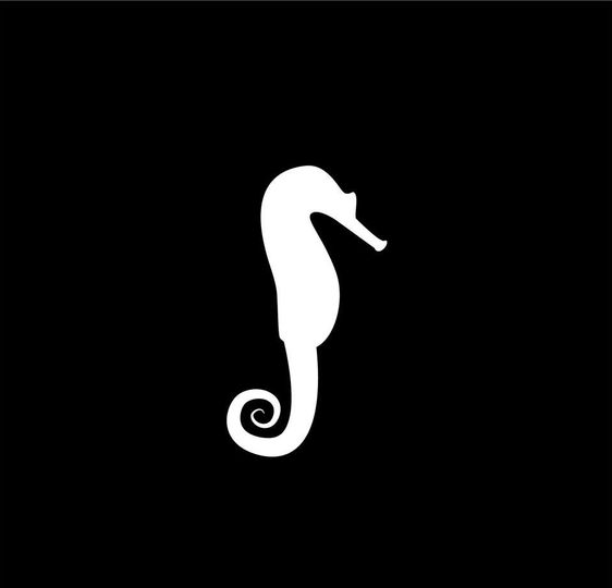 Seahorse Bend Press, LLC