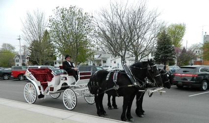 Pine Acres Carriage Service, LLC