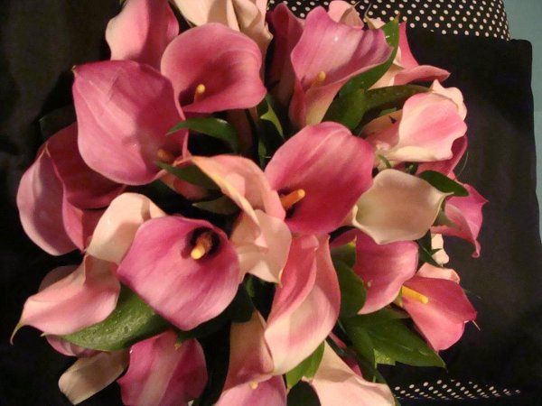 Flowers By Kathy
