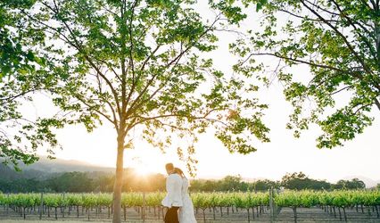 Whitney Nelson Events