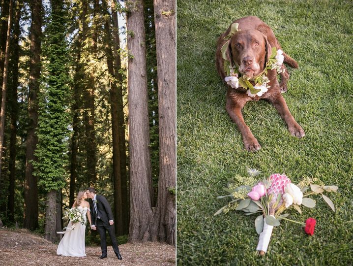 Jessamyn Harris Photography