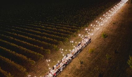 Tenuta dei Mori
