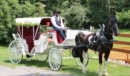 Mo's Carriages and Trail Rides