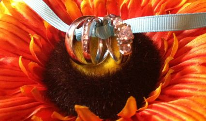 Dream Day Officiant