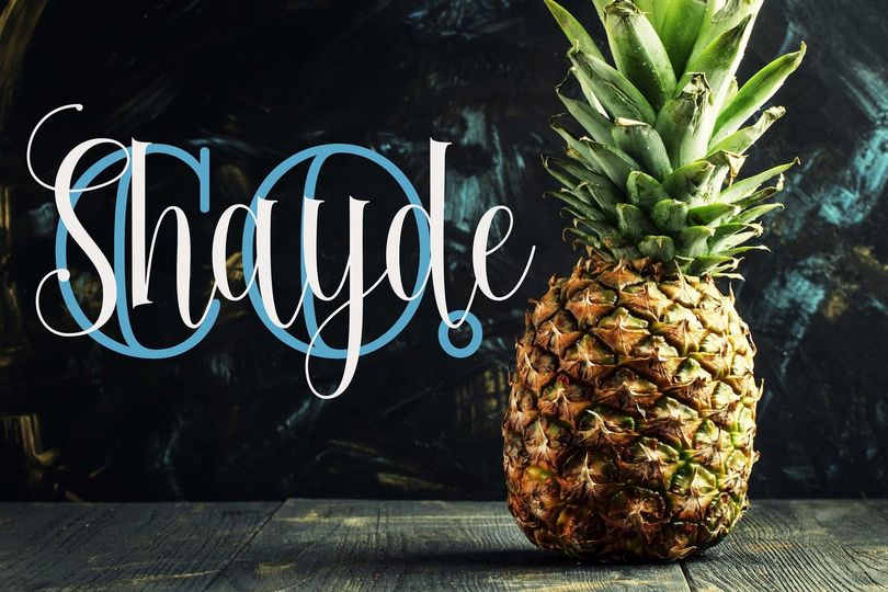 Shayde Co.