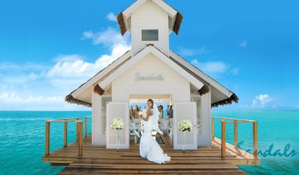 Cheers to Your Vacation , partner of Travelmation