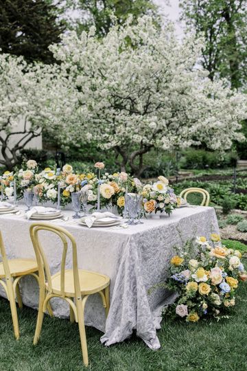Mallory Tahy Photography