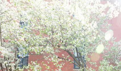 Justine Cheng Photography