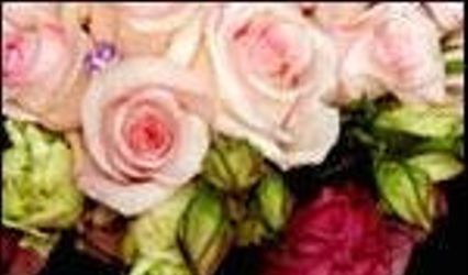 Cassandra's Floral Design