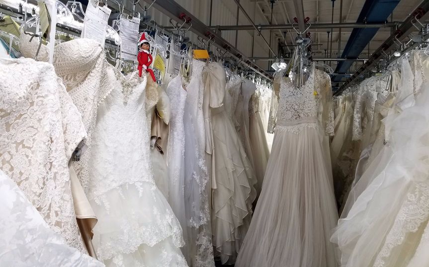 Trusted Wedding Gown Preservation