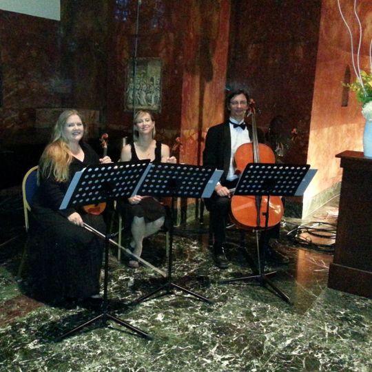 A Beautiful Violin & Trillium Ensembles