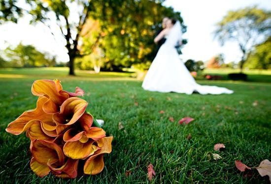 YAZYJO Photography