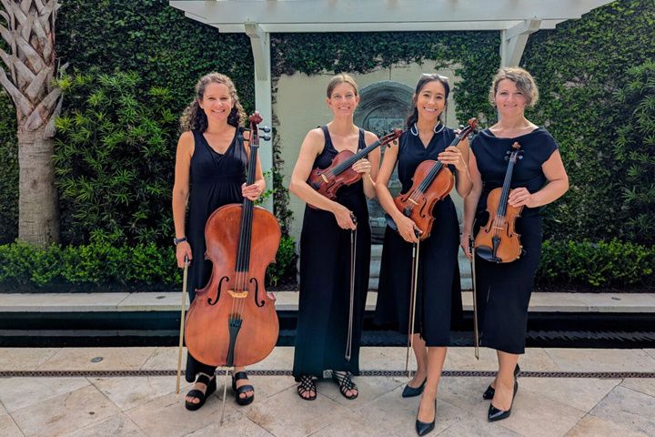 Palmetto Strings