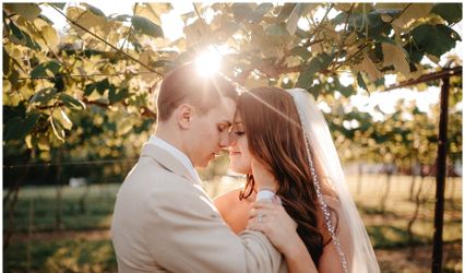 Abby Weeden Photography & Design