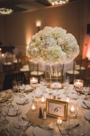 Event Design Planning Tampa Fl Weddingwire