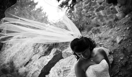 Tamara Murphy Photography